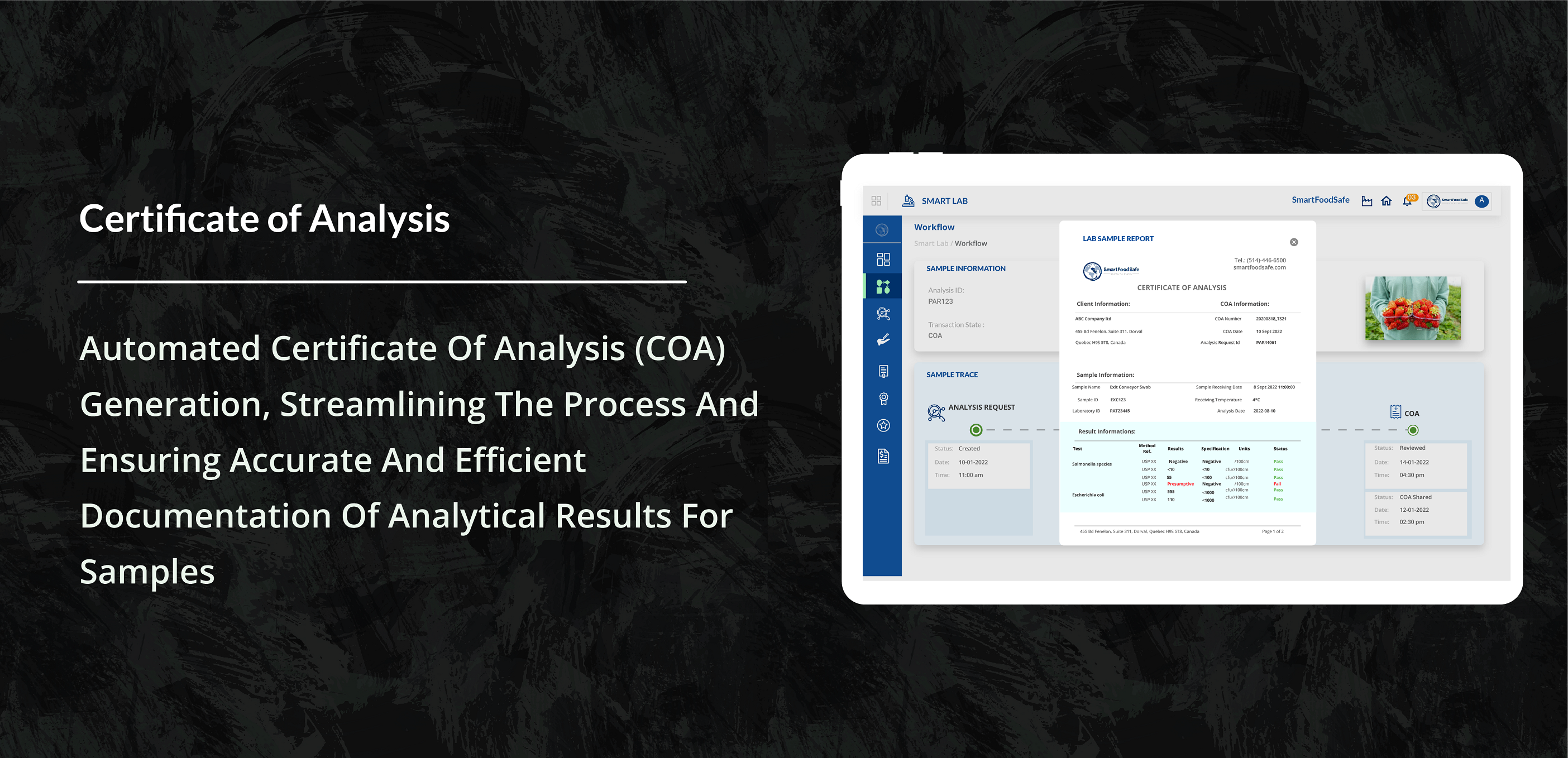 screenshot of Smart Lab